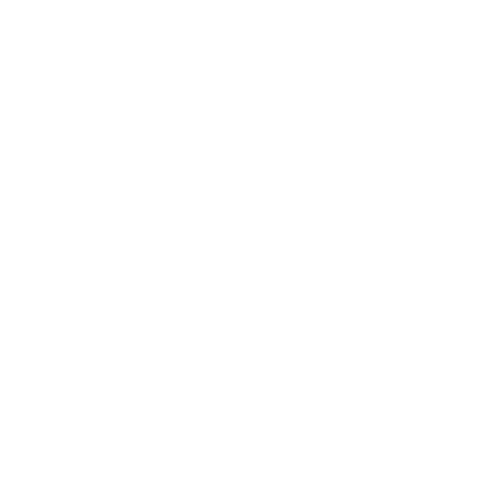 Bmbh bridge director and team 538 white